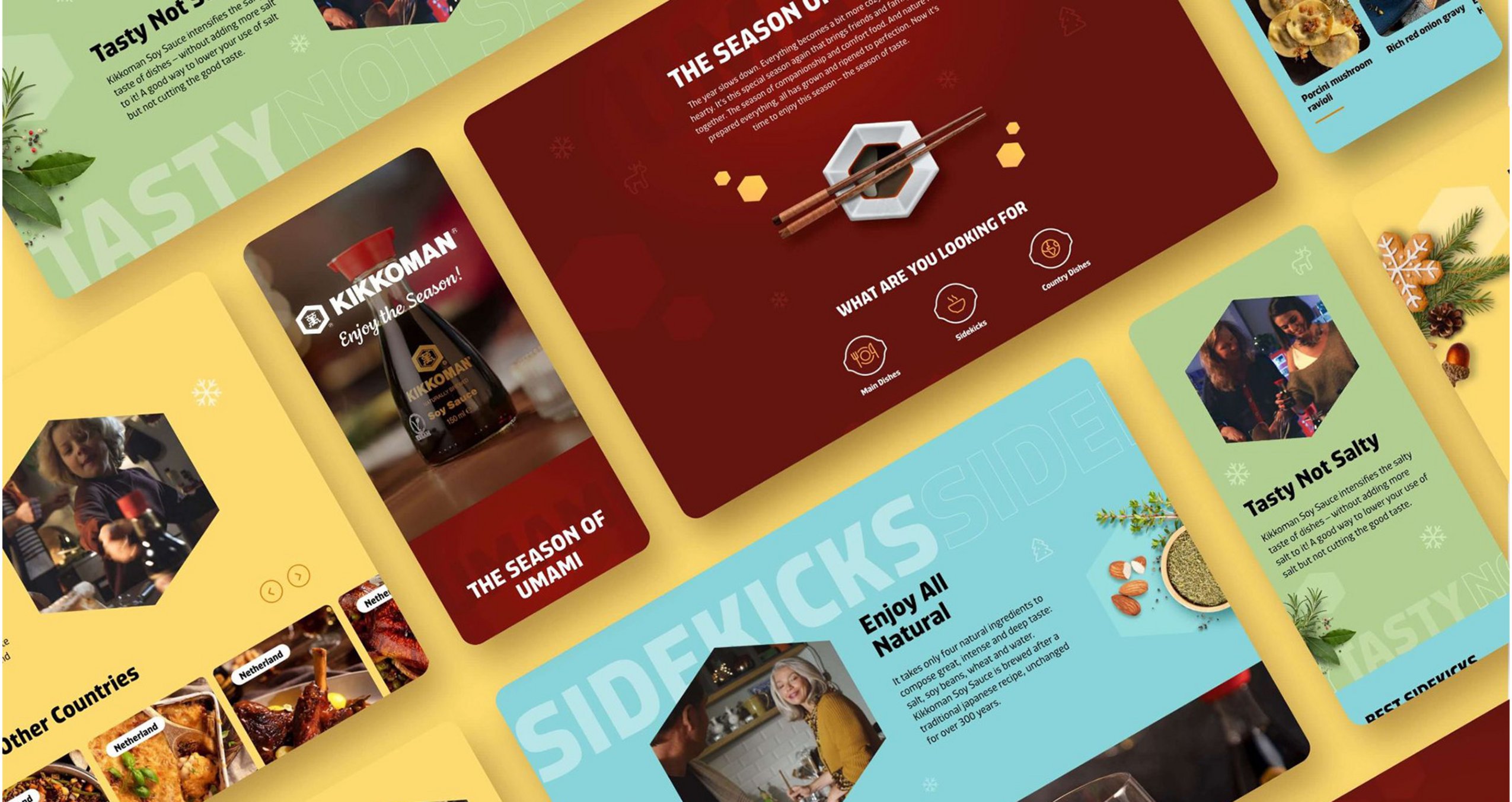 Eine stilisierte Übersicht der Kampagnen-Website.