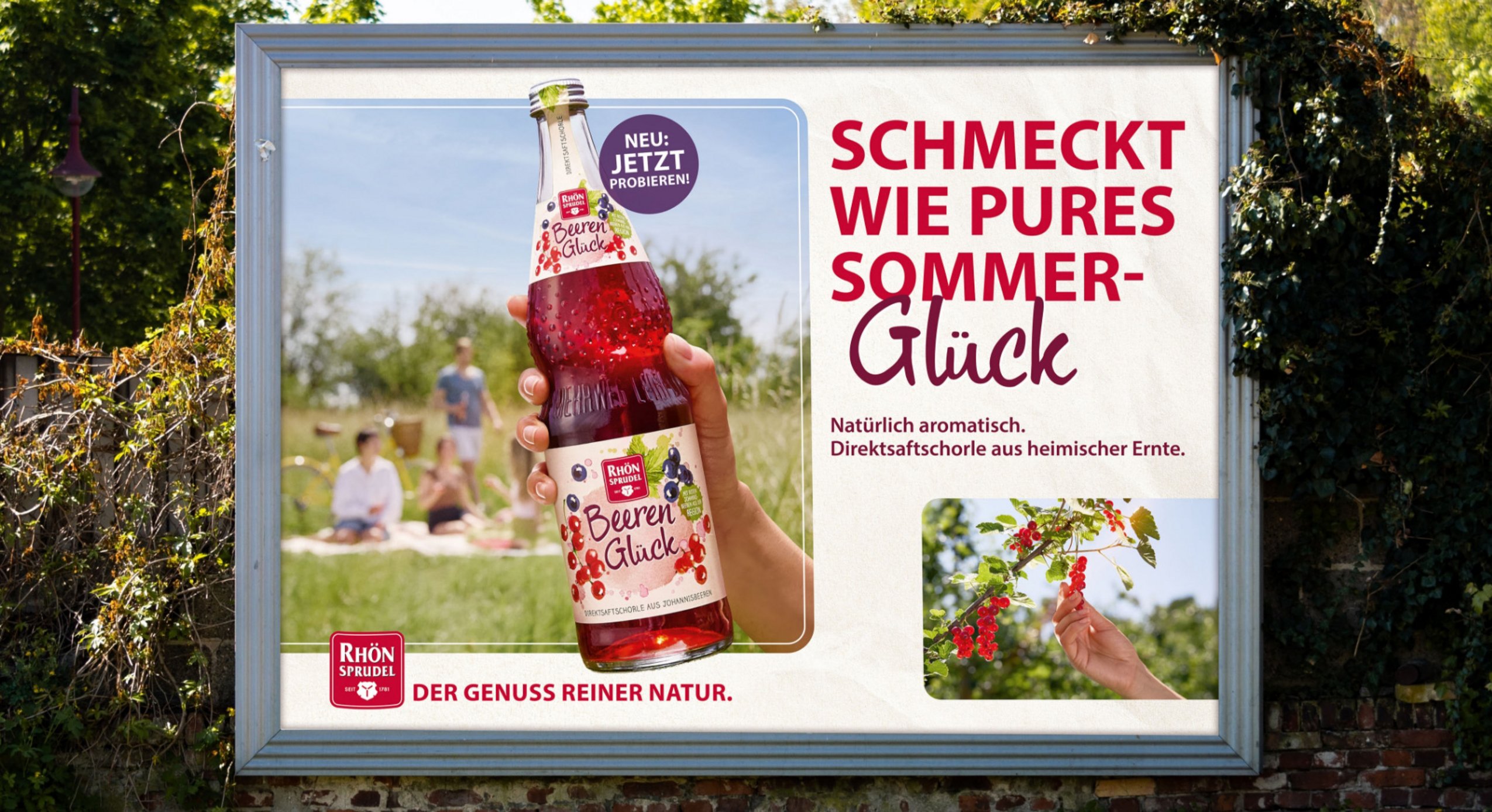 Das Key Visual Beerenglück zeigt groß die Flasche, im Hintergrund eine Gruppe junger Menschen bei einem sommerlichen Picknick; das Bild ist als 18/1 Plakat abgebildet.