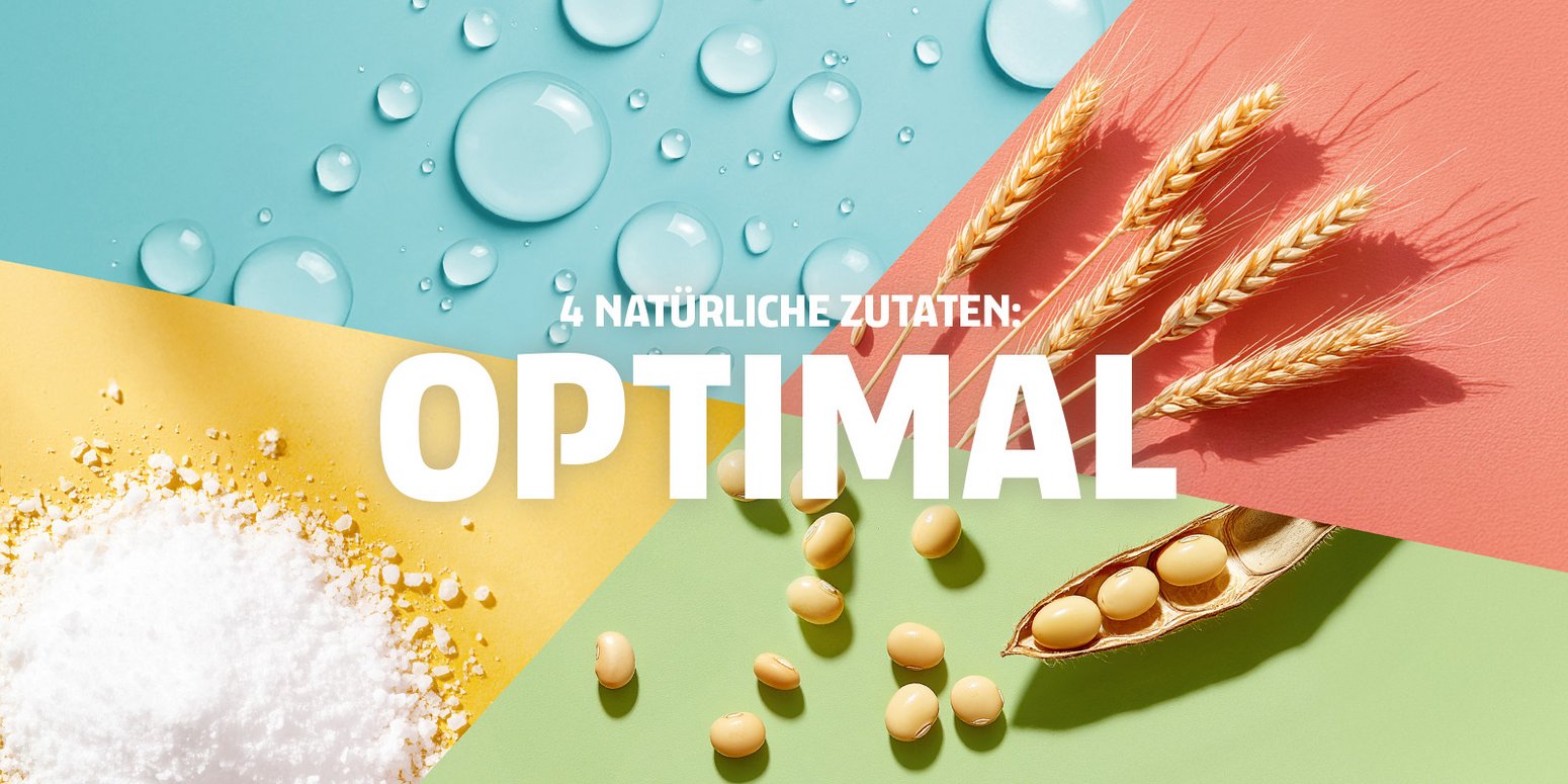 Verschiedene Kampagnen-Motive mit Food und Kikkoman Dispenser, darüber die zentralen Benefits des Produkts. Extra lange Brauzeit: Ideal, Die Momente: emotional, Natürliche Zutaten: Optimal, Die Tradition: Maximal.